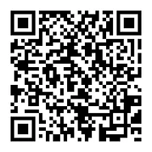 图片加载失败～